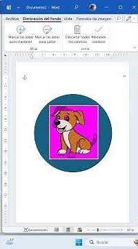 Learn how to remove the background from your images in Microsoft Word. #word #tutorial #excel