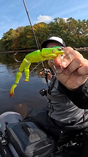 Grosse bouchée pour gros brochet ? Apparemment cette frog chopée dans une brocante plaît aux brochets dans peu d’eau … #julo #brochet #frog | Julo