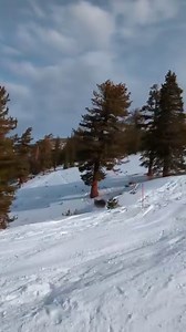Did you see the bear that almost hit the skier?! 🐻🐻🧐 Guess the wait for the ski lift was... UnBEARable! 😂 Credit: Tao Feng. want to be Featured? Message us your Funny Videos! | Funny Videos