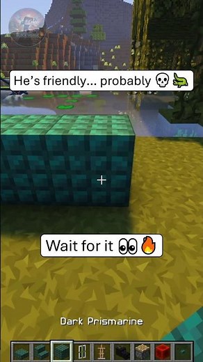 Minecraft Alligator Build 🐊😊