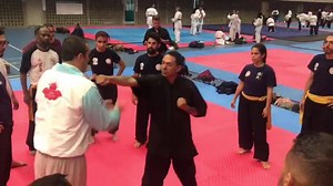 32 reactions · 16 shares | SEMINARIO DE BAGUAZHANG POR EL SHIFU DIEGO...