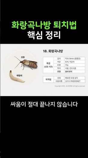 화랑곡나방 퇴치법의 핵심만 30초만에 정리해드립니다 #화랑곡나방퇴치법 #쌀나방퇴치법