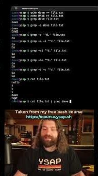 Pipelines in Bash: Filtering Large Data
