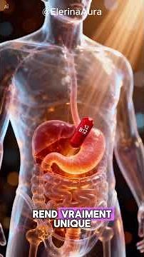 The Incredible Role of Vitamin B12