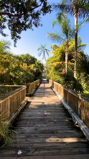 Soon campus is going to be filled with busy walkways, coasting longboards and endless chatter. We can't wait for our Panthers to be back! | Florida Institute of Technology