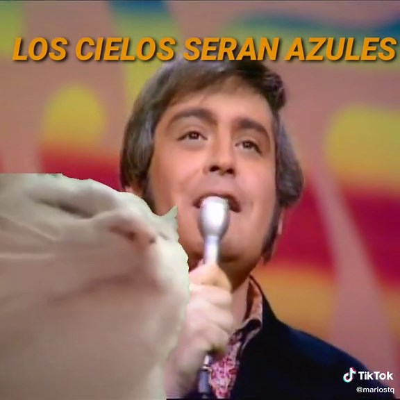 The Turtles Happy#Together #mariost