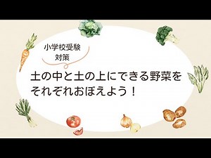 小学校受験対策 土の中と土の上にできる野菜をそれぞれおぼえよう！