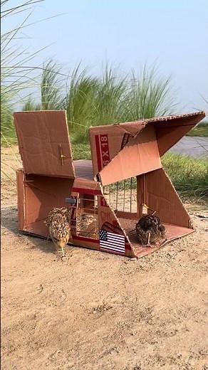 How to Make an Easy Bird Trap at Home (100% Working) #trap #birds
