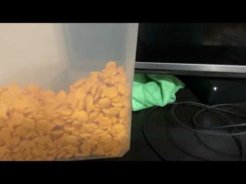 Cinnamon Toast Crunch Commercial (HD)