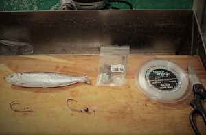 Baits to impress your mates  - Whole Pilchard