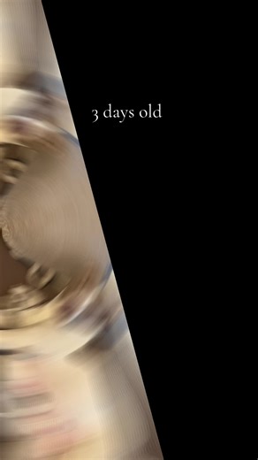 Bee_plusthree (@bee_plusthree)’s videos with Snoozin - Tatum Talks