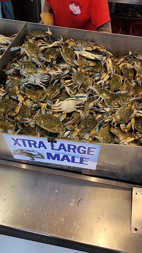 2.3M views · 8.7K reactions | Man ready for Blue Crab season to come back #bluecrabs #crabs #fishing #chesapeakebay | FishnGold | Facebook
