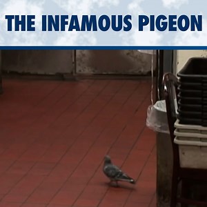 the one and only | Ramsay's Kitchen Nightmares