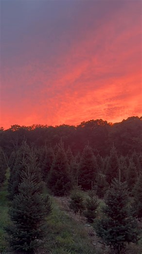 1.6K views · 62 reactions | Tonight’s sunset video is almost as stunning as the sunrise video I shared this morning! What a great way to start the week. Good night & sleep tight! | Hill Farms | Facebook