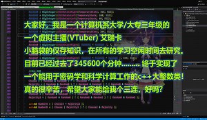 RE【技术探讨&密码学】C  实现 大整数 动态比特数组 VTuber P1 算法实现细节展示