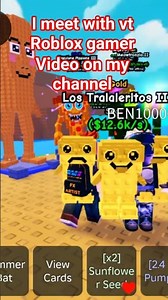 i meet with vt Roblox gamer
