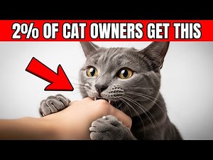 5 Things Your Cat Does to Send You Messages (You’re Missing Them)