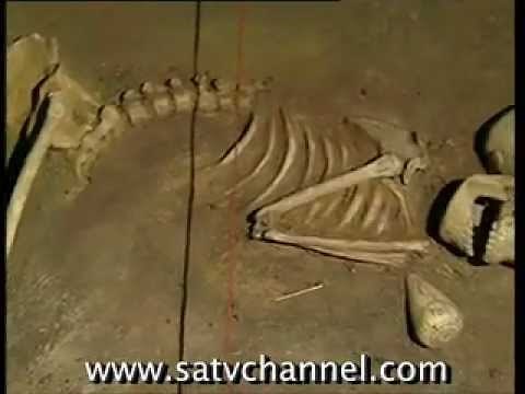 Border Cave: 200,000 Years of Human History Hidden in Africa’s Cliffs