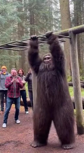 When Bigfoot Goes Crazy – Funniest Clips Ever!