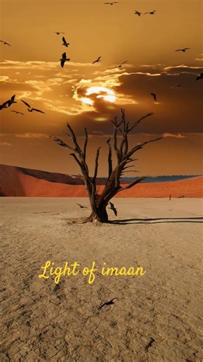 Most Beautiful Quran Ayat | Heart Touching Reminder 🌙✨ #shorts #short