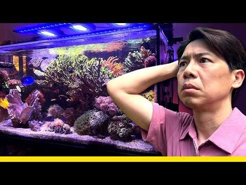 I NEGLECTED my Reef for 4 Weeks... Here’s What Happened