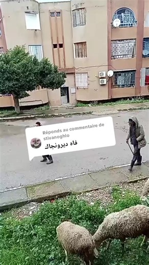 Réponse à @stivanoghlo #قالمة_24_بلادي_الزينة🌸😻 #قالمة_24🇩🇿❤️ #قالميات_بانو_هنا_👇 #قالمي_شيكور🖤🔥 #سكيكدة_الزينة_و_حنا_فيك_تربينا