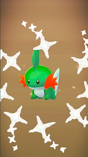 OMG! Shiny Mudkip Hatched from Egg | Pokémon GO #pokemongo