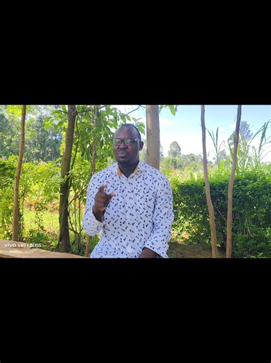 CBE Pathways: Understanding Senior School Placement