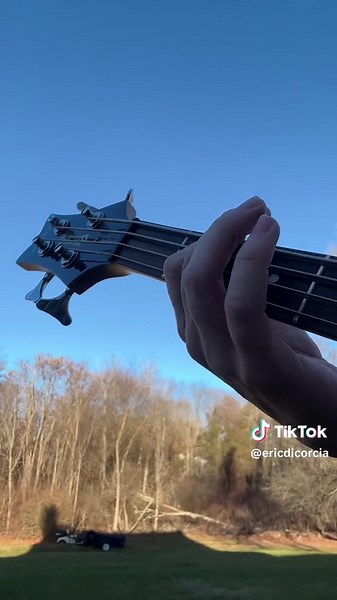 Alice in Chains Bass Cover of 'Would?'