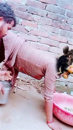 Breastfeeding vlogs in indian village/breastfeeding vlogs