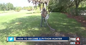 Becoming a Python Hunting