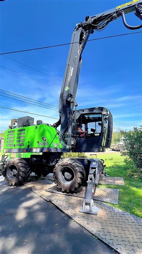 Kravitz Tree Service GreenTec trimming: viral tree care tips