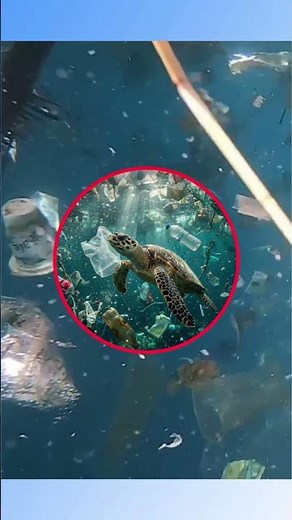 How Does Plastic Affect Climate Change? | Plastic Free July