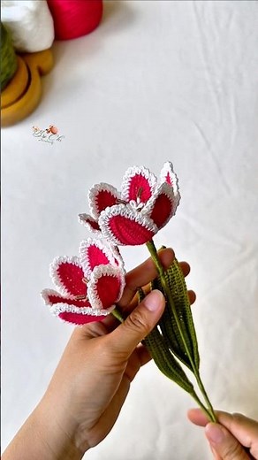 Hoa Tulips Móc Len 🌷 Hoa Tulip 🌿 Crochet Tulips 🌷 DIY Easy Tulip Crochet Tutorial