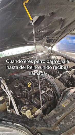 Los Santos Customs on TikTok