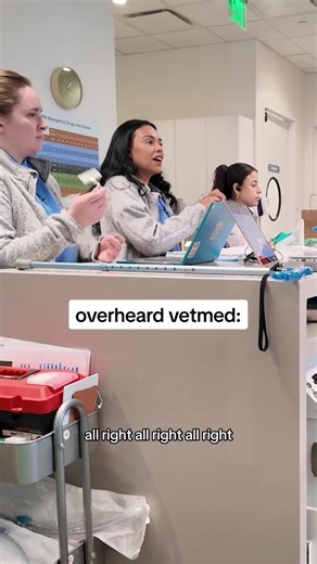 Exploring Iconic Movies in Veterinary Medicine