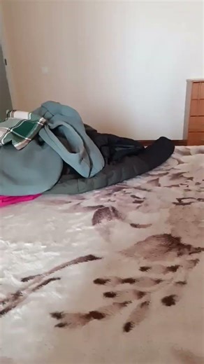 22 марта 2026 г.