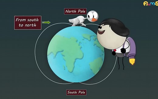 儿童科普英文动画Aumsum time全集