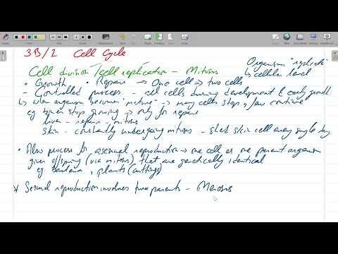 AS Biology - Cambridge/ AQA/ Edexcel - Session 2025-26 - Class # 14