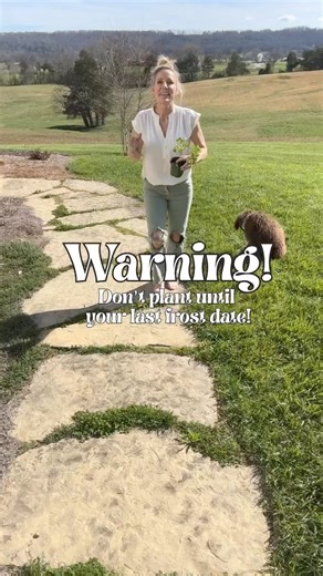 46K views · 366 reactions | Do you need help determining your last...