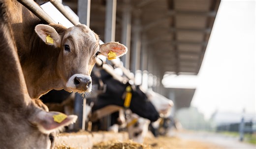 Department of Agriculture issues stark warning to livestock owners