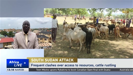 46K views · 822 reactions | At least 10 killed, 14 wounded in deadly South Sudan cattle raid. | CGTN Africa | Facebook