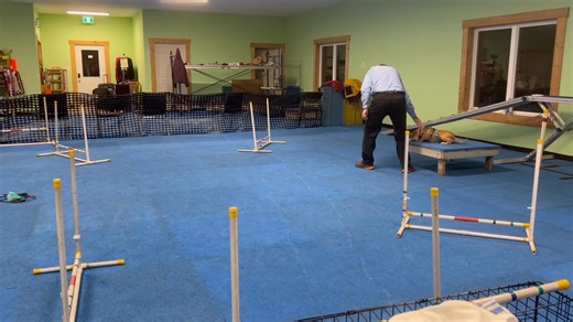 This is the latest agility group of students who completed their pre-agility class that started in September. They have now moved onto the introduction to the agility equipment. This is them in their 3rd class showing some awesome progress. If anyone would like to join us in the next new pre-agility class then register via the website www.abcdogtraining.org | ABC Dog Training Caroline Bird Cpdt - Ka