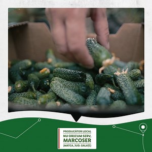 🌱 La Piața Lidl găsești mereu prospețime din România 🇷🇴, iar de data aceasta vedeta sunt castraveții cornișon! 🥒 Scanează codul QR de pe lădițe și află mai multe detalii despre furnizorii noștri locali și de unde vin legumele și fructele tale preferate! 👉🏻 surprize.lidl.ro/piatalidl! | Lidl Romania