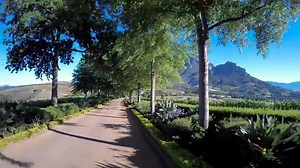 Fly Mango and escape to the beautiful winter winelands! | Mango Airlines