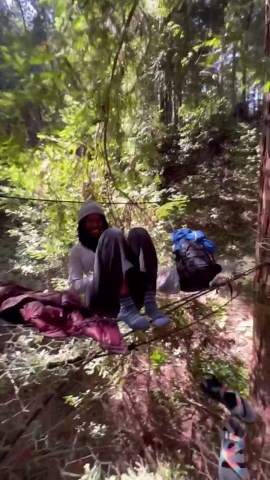 Charlies Webs on Instagram: "Multi layer web with bridge entrance"