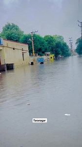 529K views · 24K reactions | Taranagar Swimming Pool Opening  #comedy #marwadicomedy #rakiyogoriyo #rajasthanicomedy | Rakiyo Goriyo | Facebook