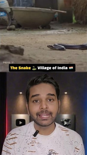The Cobra Roommates! 🐍🏡 Inside India’s Most Fearless Snake Village!