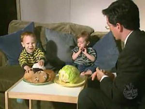 2002 Daily Show segment on Cookie Monster by Stephen Colbert