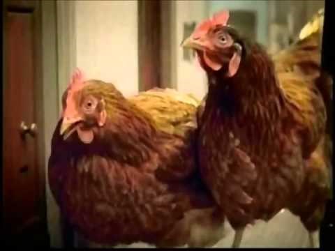 Burger King Chicken Fries Commercial HD